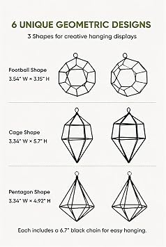 6 Pack Geometric Air Plant Holders for Wall Hanging, Black Metal Tillandsia Decor for Boho Home, Office & Shelf Styling