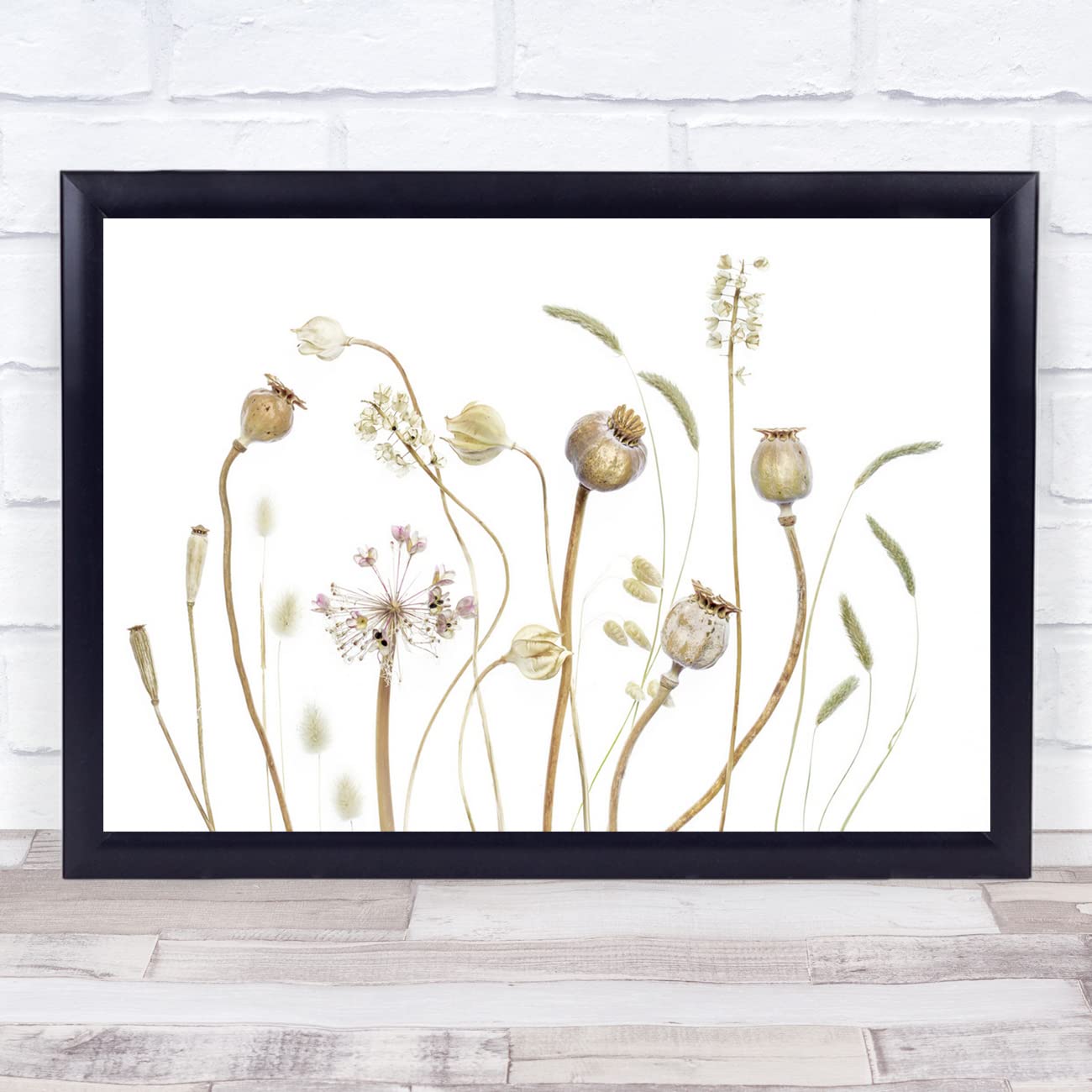 Fingerprint Designs Poppies Pods Seeds Autumn Seed Fall High Key High-Key Still Life Wall Art Print