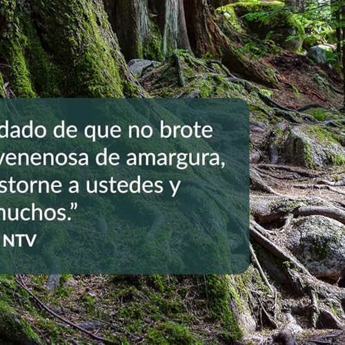 Viviendo sin resentimientos