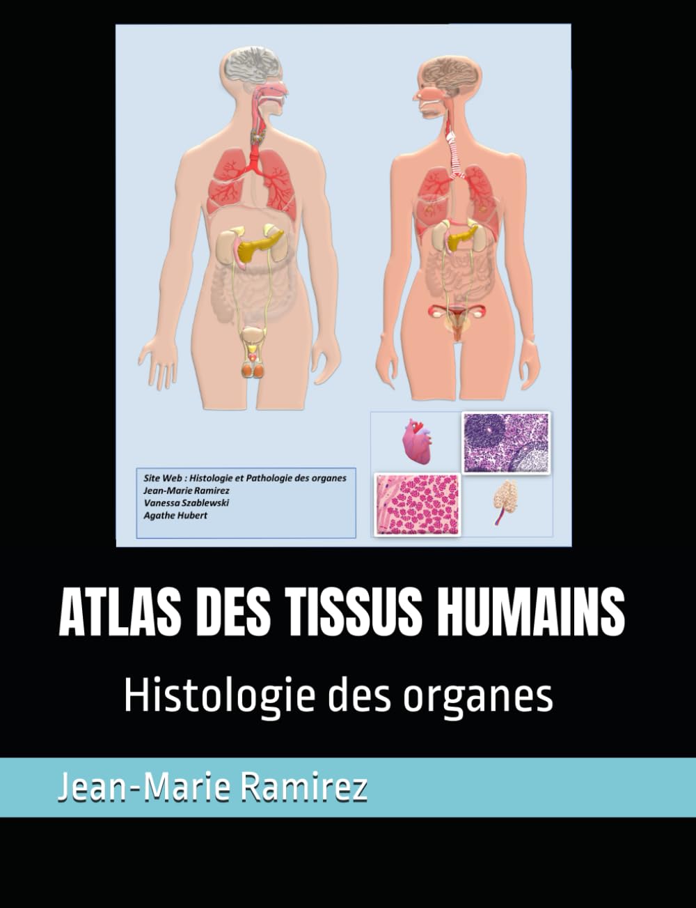 Atlas des Tissus Humains : Guide Illustré de l'Histologie