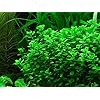 Product Photo 9