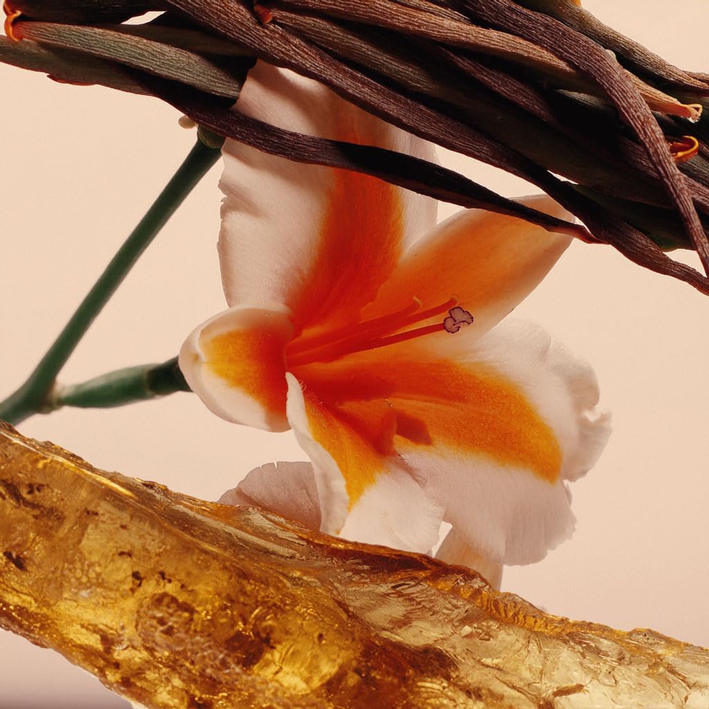 Luxury Soy Candle, 10 oz, Lily Blossom and Jasmine, Limited Edition