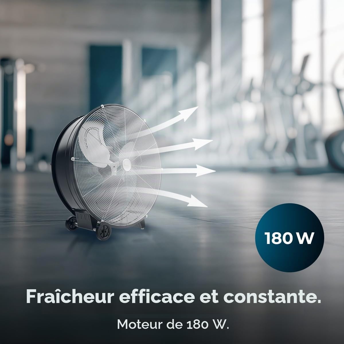 Cecotec Ventilateur de Sol Industriel Proindustry 2400, 180W, Diamètre 60 cm, 3 Vitesses, Pales en Aluminium, Débit d'Air 9832,8 m³/h, Design Transportable, Grille de Protection, Facile à Utiliser