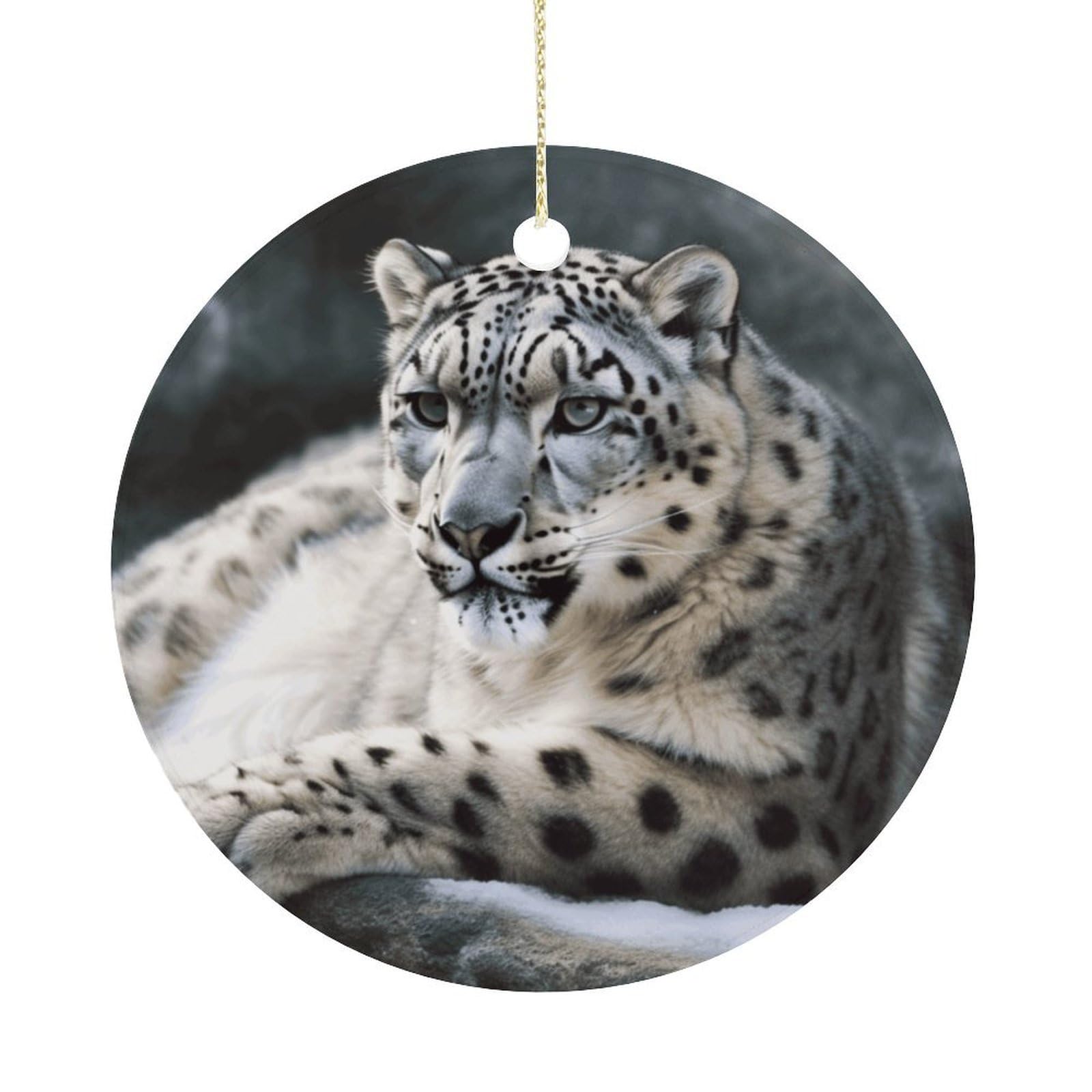 Snow Leopard Christmas Ornaments Colorful Round Ceramic Ornament Christmas Hanging Decor Christmas Tree Decorations Xmas Keepsake for Women Men Xmas Holiday Party