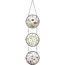 FOCHIER F Linked Round Pressed Flower Frame with Chain, Brass Double Glass Floating Picture Frame for Dried Flowers, Botanical DIY Display, Dynamic Hanging Wall Decor, Aesthetic Gift for Women