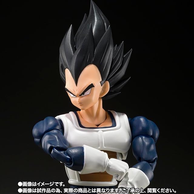Foto 2 de 7 de Vegeta -Old Battle Clothes- Fig. 14 cm Dragon Ball z SH figuarts Collectors Shop