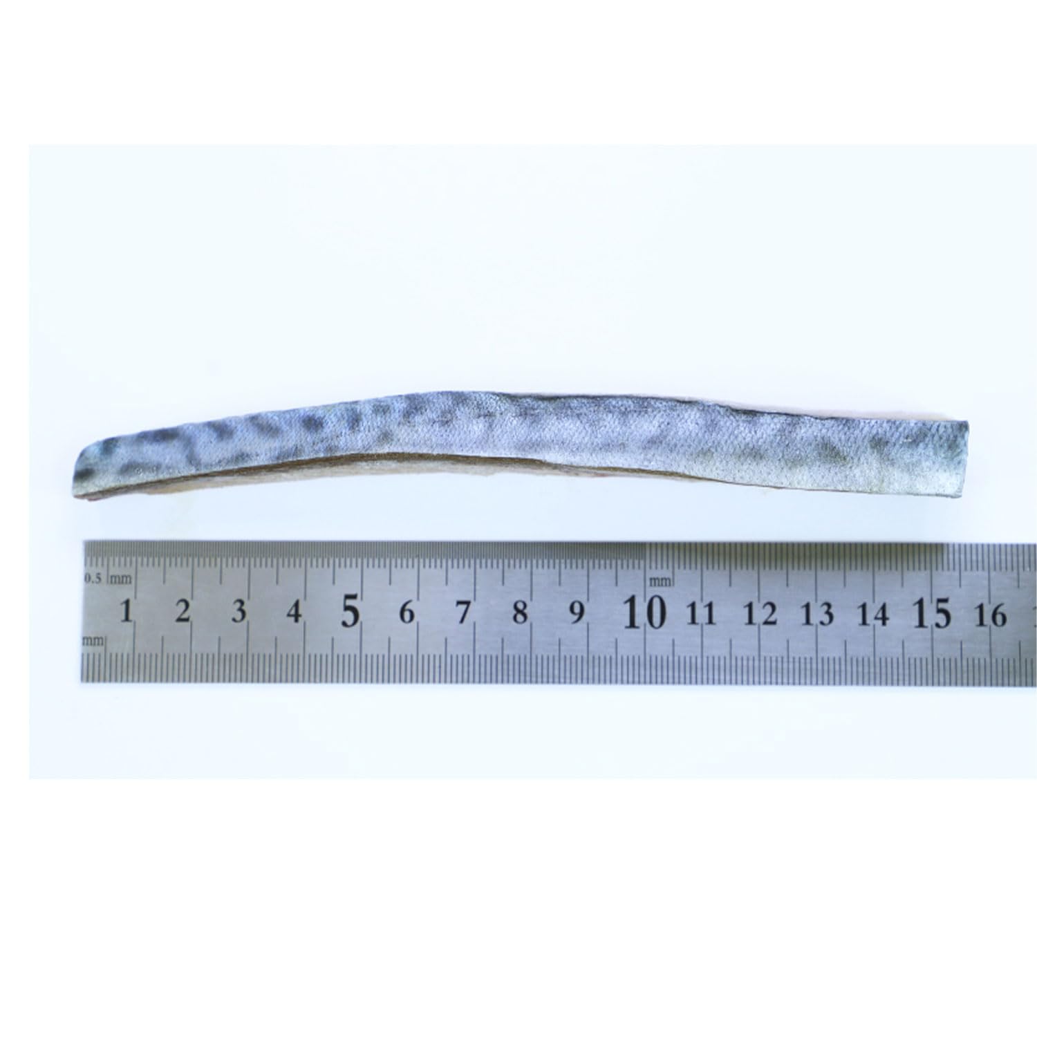 Amazon | 〈冷凍釣りエサ〉浜市［HAMAICHI］サバの切身 真空ロング(生