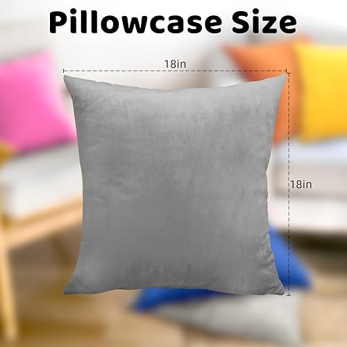 Miniatura 2 de Paquete de 2 fundas de almohada de terciopelo suave de 18 x 18 pulgadas, fundas de cojín cuadradas sedosas decorativas con cremallera para