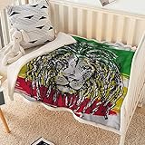Rasta Sherpa Fleece Blanket Baby Size Green Yellow and Red Sherpa Fleece Throw Blanket for Couch Fuzzy Warm Soft Blankets and Throws for Sofa 30 x 40 Inches