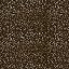 Gold Mocha (Brown Bronze)