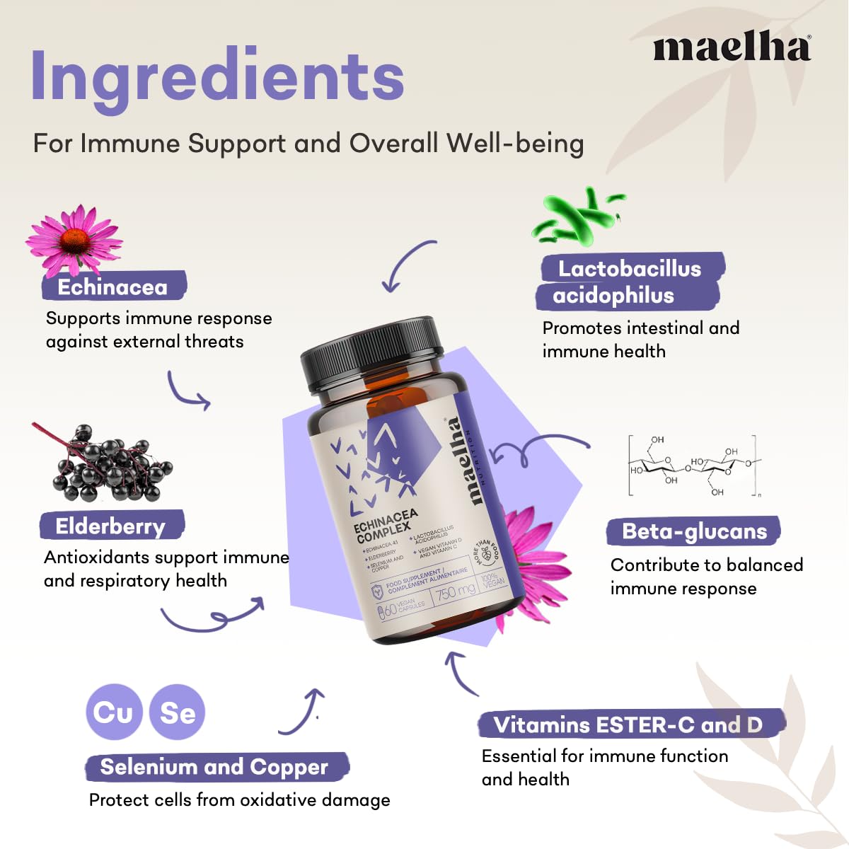 Echinacea-Immunkomplex | Echinacea, Beta-Glucane, Holunder, Vitamine C und D, Selen, Kupfer, Lactobacillus acidophilus | Immunsystem | 60 Kapseln | 100% natürliche Ergänzung