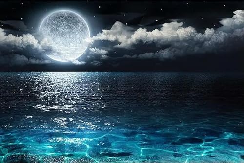 1000ピース 海から月が昇る 木製パズル ジグソーパズル 大人の知育玩具