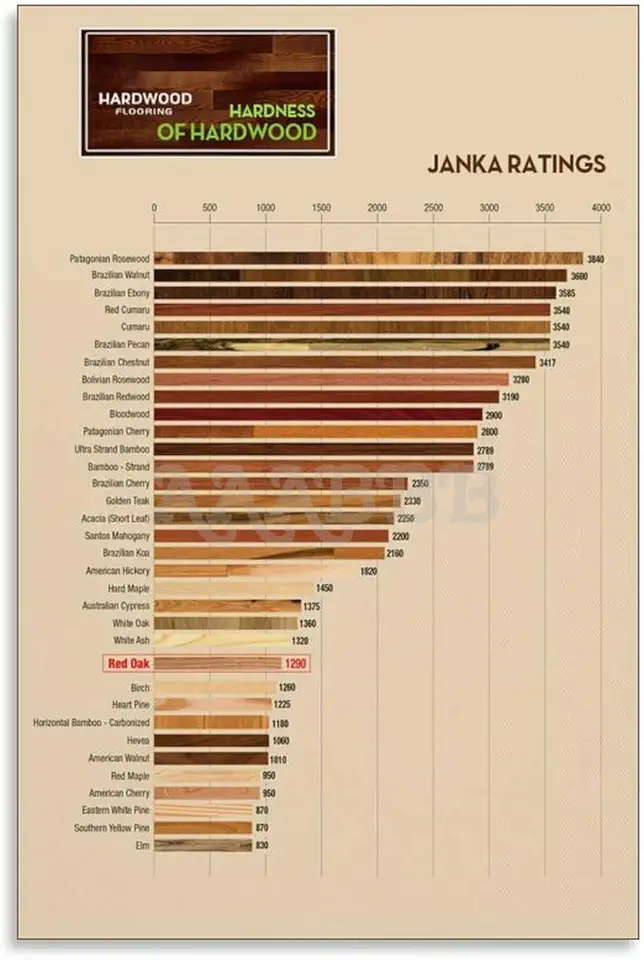 Large Janka Wood Hardness Poster — 20x30 Print