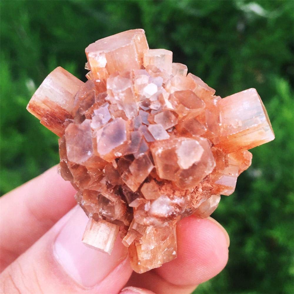 PAKMEZ Cluster di Cristalli Naturali di Aragonite Cristalli Naturali e Grezzi Irregolari -