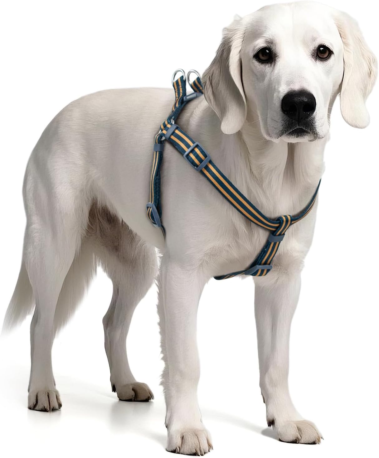 Stripe Step in Dog Harness for Small Dogs, Freedom Nylon Dog Halter Vests, Lightweight and Escape Proof Puppy Harness, Quick Fits for Small Medium and Large Dogs, Blue XS