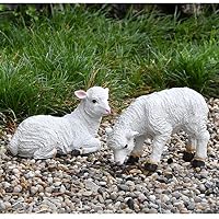人工芝 ヒツジ型 オブジェ 動物　ガーデンオーナメント 61OSkr46GQL._SS200_.jpg