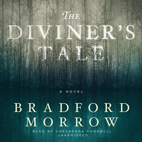 Cover art for The Diviner’s Tale