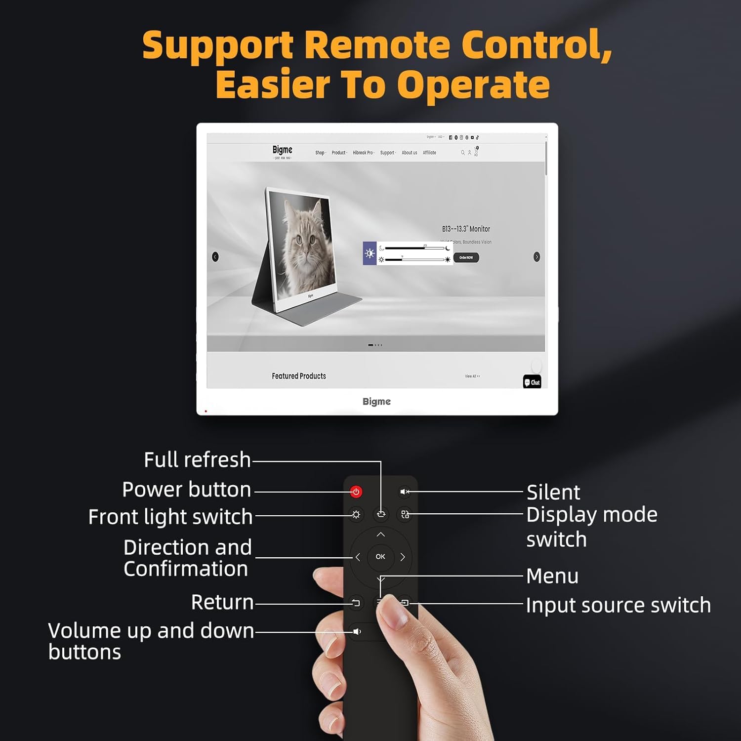 Amazon.com: Bigme B13 Color Epaper Monitor 13.3 Inch, 2 x