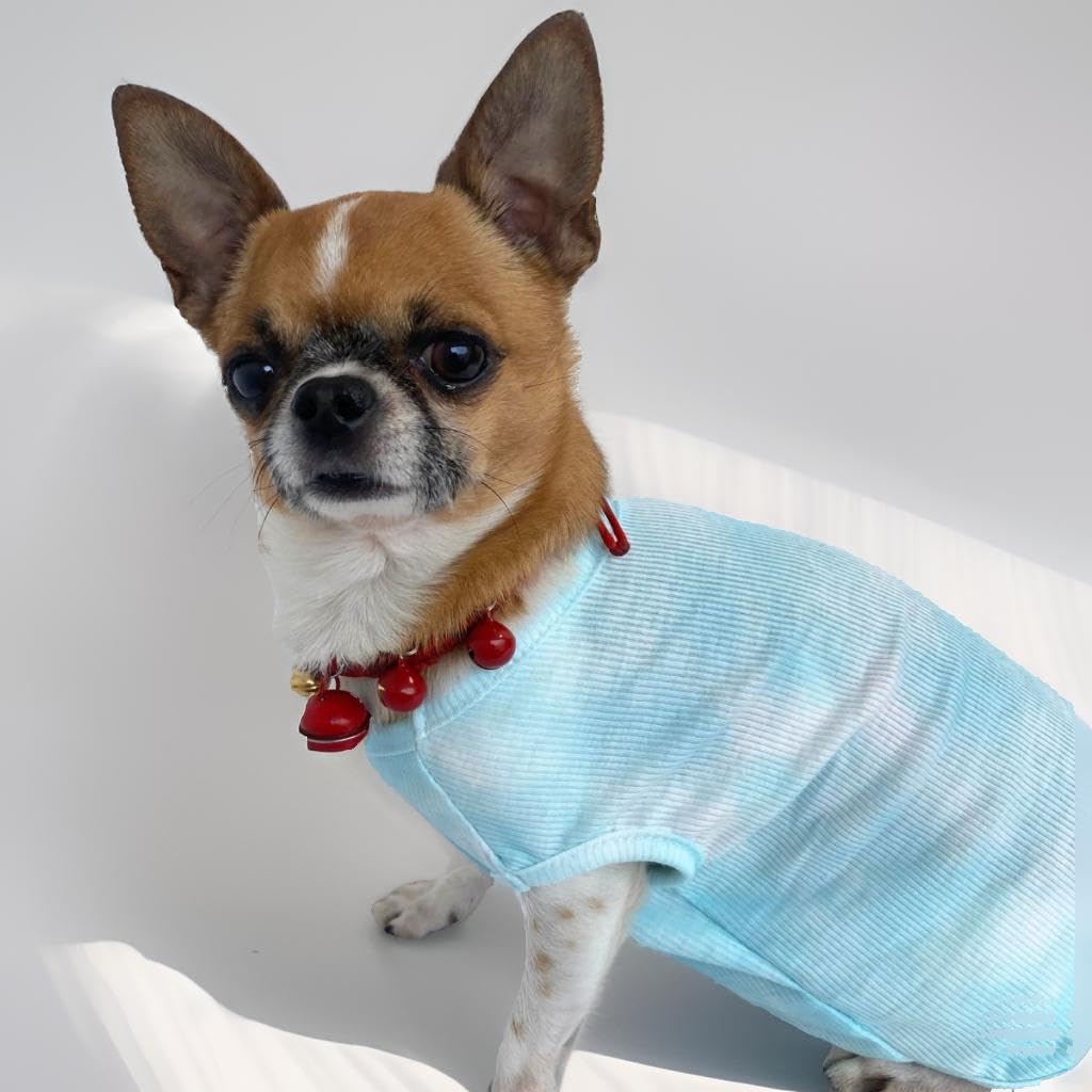 Sommer T-Shirt Für Hunde – Weich, Atmungsaktiv, Für Kleine & Mittelgroße Hunde