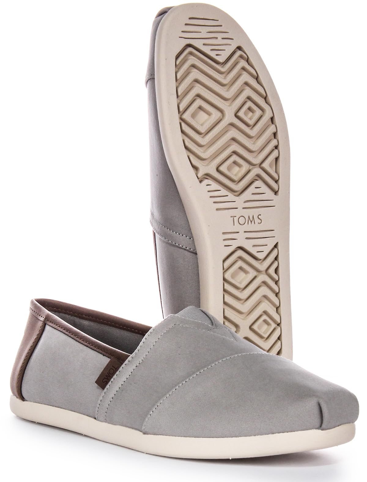 TOMS Alpargata_Drizzle Grey ZapatillasHombre