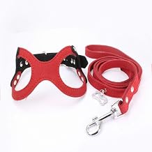 Beirui Korean Velvet Dog Chest Strap Classical Glasses Style Dog Harness with Matching Leash Pet Dog Supplies M, red