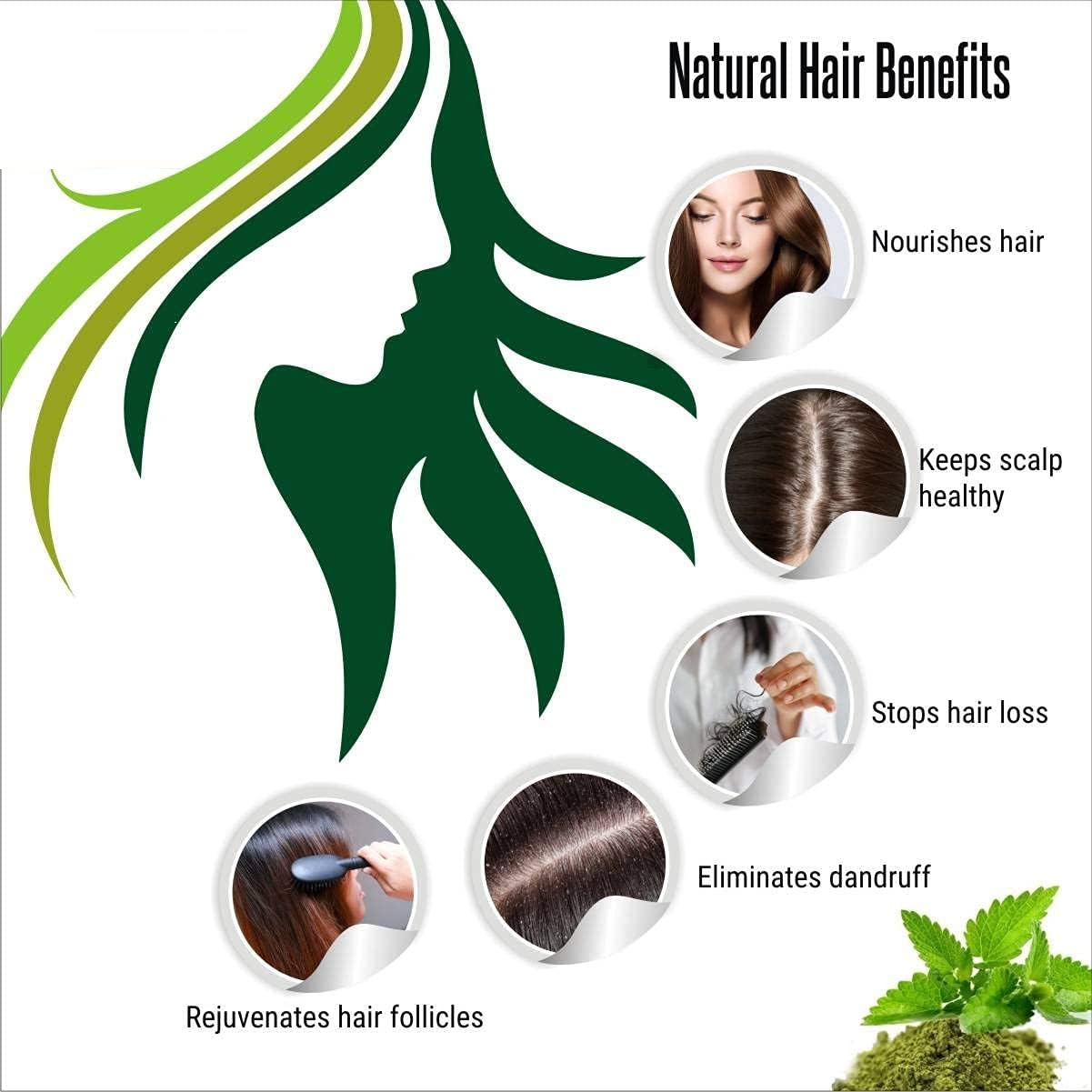 HS Natural Tulsi Leaf Powder - 100 Gram (3.52 oz) - Ocimum Sanctum - for Skin & Hair - Tulsi Powder