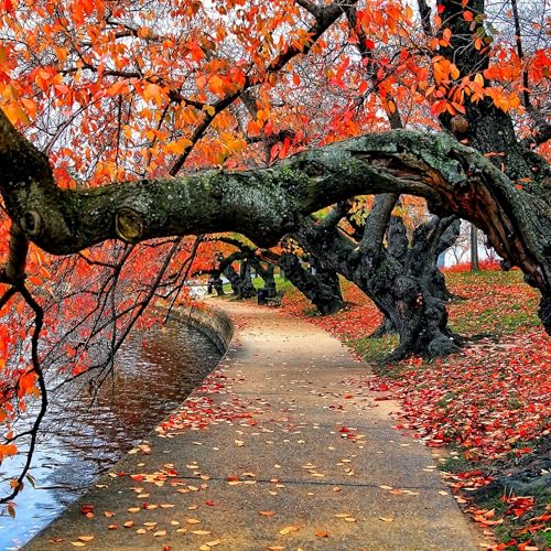 Stress Factor Drum & Bass Podcast Podcast Por Stress Factor Podcast capa