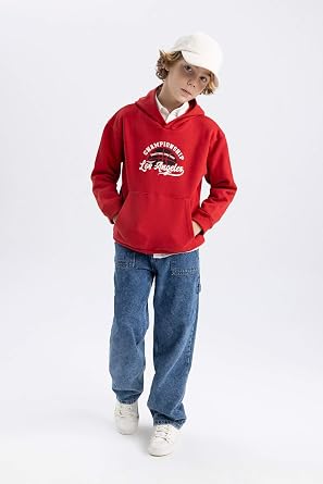 DeFacto Boys' Regular Fit Hooded Sweatshirt