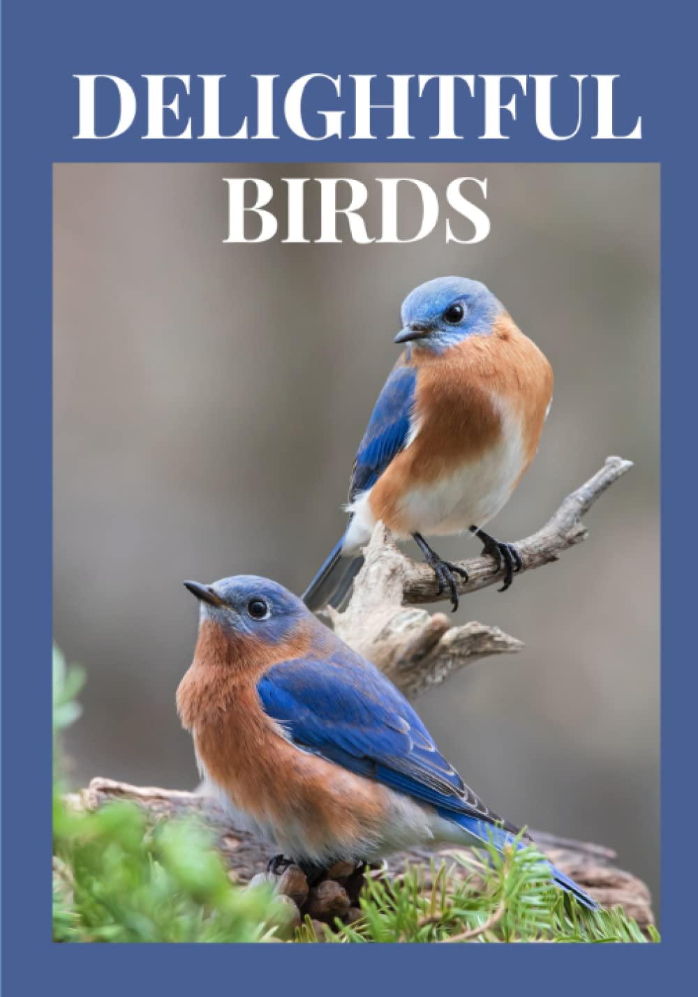 DELIGHTFUL BIRDS: Beautiful Color Picture Book, Engaging Gift for Loved Ones with Dementia, Alzheimer's, Memory Loss, Cognitive Impairment, Stroke, ... (Make Me Smile Picture Book Gift Series)