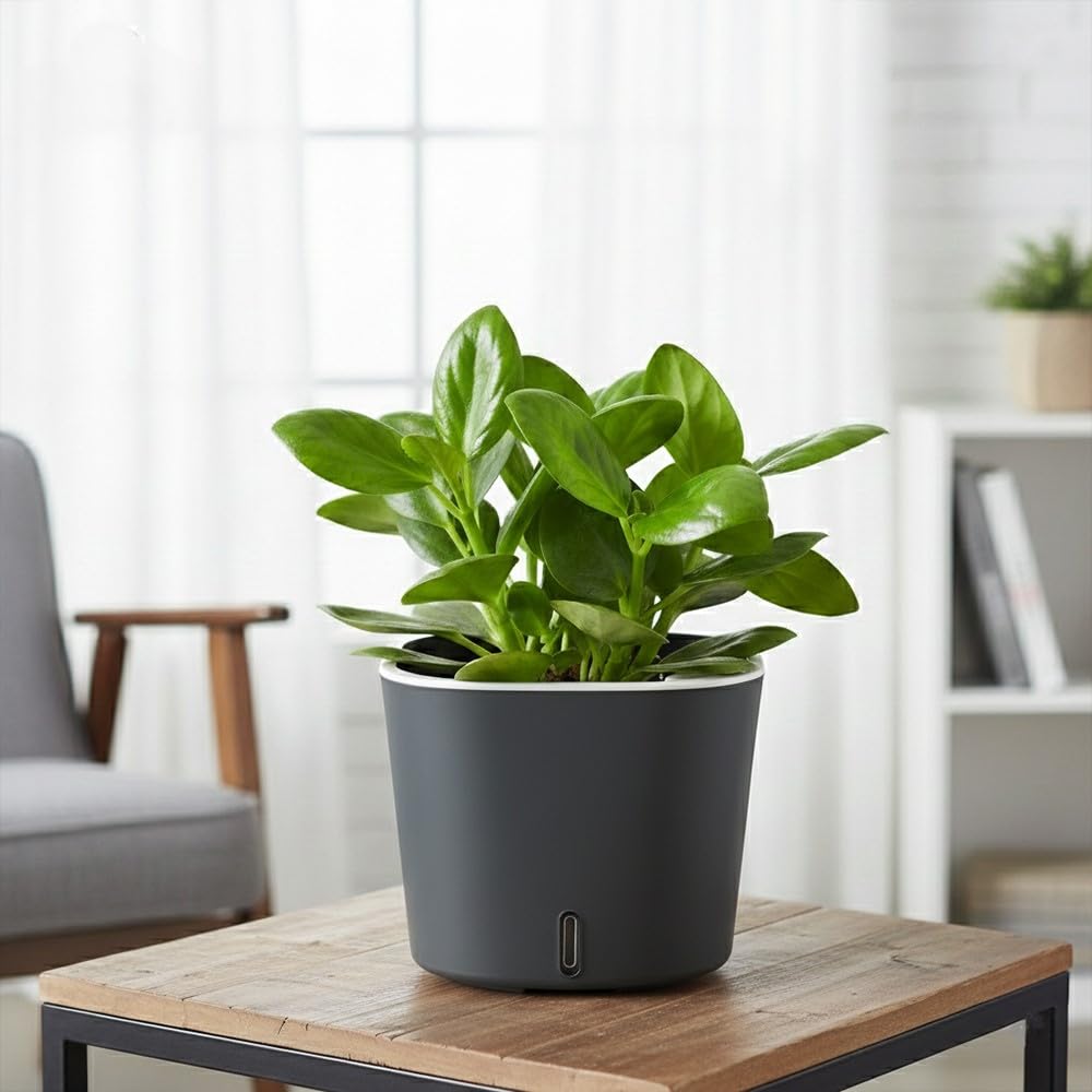 GARDENCIA Self Watering Pots - Modern Plant Cachepots -30 GARDENCIA Self Watering Pots - Modern Plant Cachepots -30