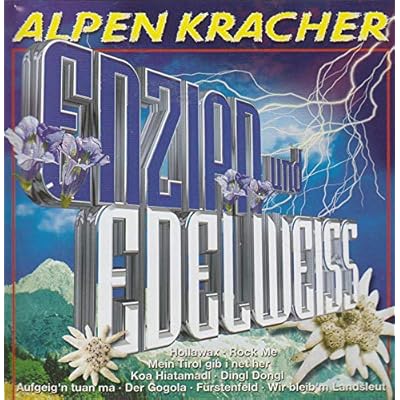 AIpenkracher