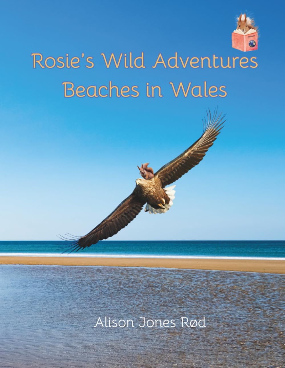 Rosie's Wild Adventures: Beaches in Wales