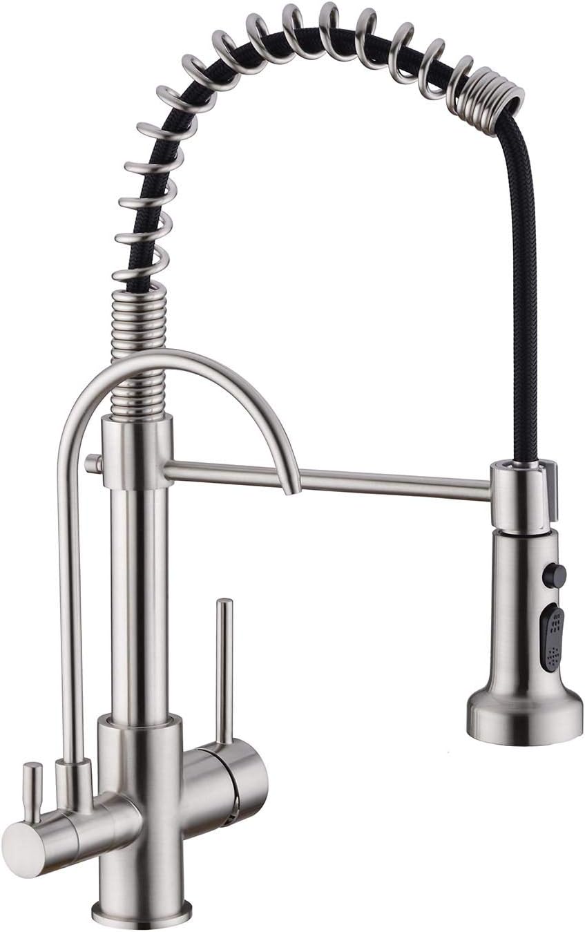 GICASA Kitchen Faucet with Drinking Water Faucet