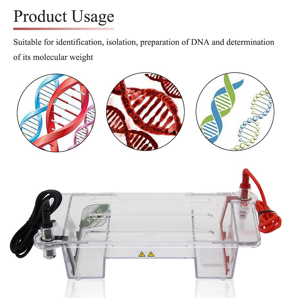dycp-31dn Mini Lab Modular Gel horizontal electroforesis celular sistema 120 x 120 mm