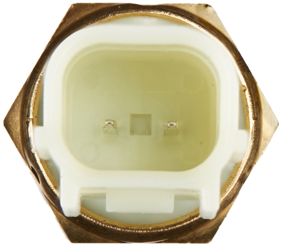 Amazon.com: Genuine Honda 37870-RWC-A01 Water Temperature Sensor