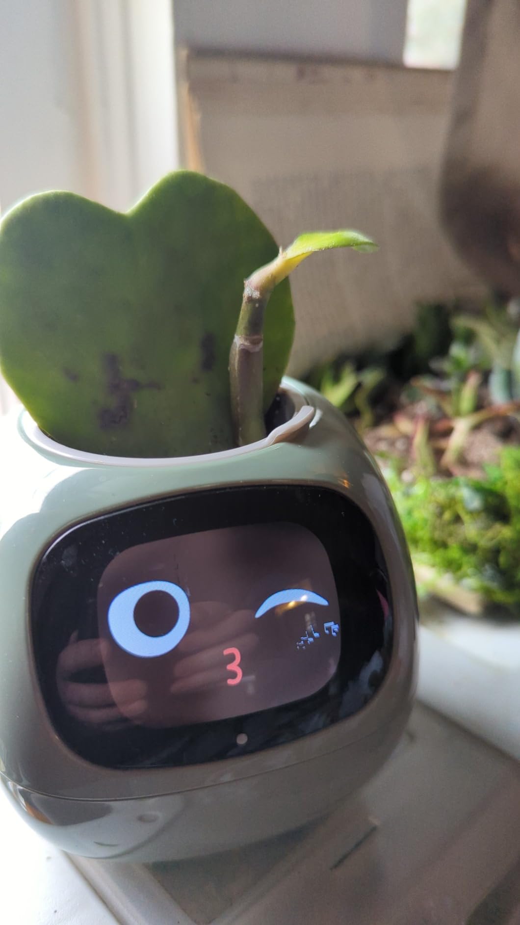 Plantagotchi - AI Smart Planter photo review