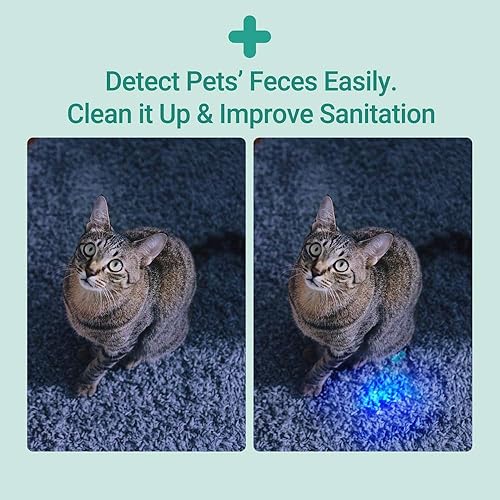 Miniatura 5 de NEXTORCH 365 nm UV luz UV Led Blacklight linternas detector ultravioleta tamaño bolsillo LED antorcha para mascotas orina y manchas, mini bolígrafo