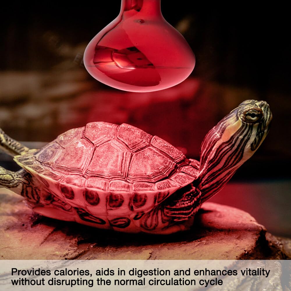 Lampada Riscaldante A Infrarossi 250W E27 - Per Rettili, Animali E Termoterapia, Vetro Temperato - Foto 12