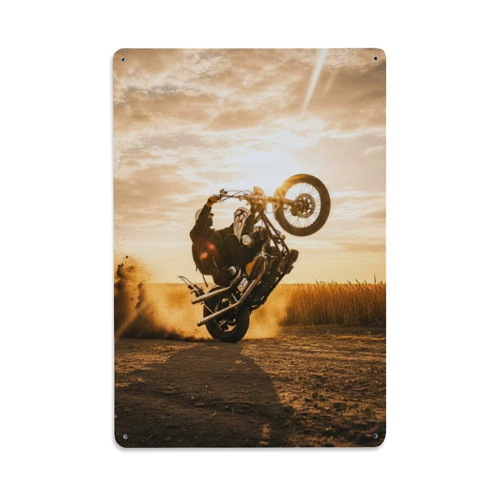 Sportster 883 Motorcycle Wheelie Chopper Bike Extreme Sports Metal Tin Sign Plaque Wall Decor for Cafe, Man Cave, Club Bar, Office, Home Garden Round Metal Poster 8x12Inch