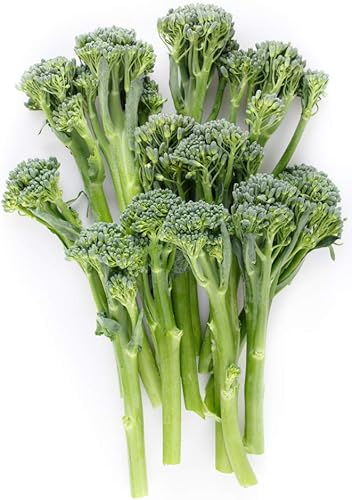 Miniatura 4 de Semillas de brócoli Raab Rapini de primavera, 300 semillas por paquete, semillas sin OMG, nombre botánico: Brassica oleracea, Isla's Garden Seeds