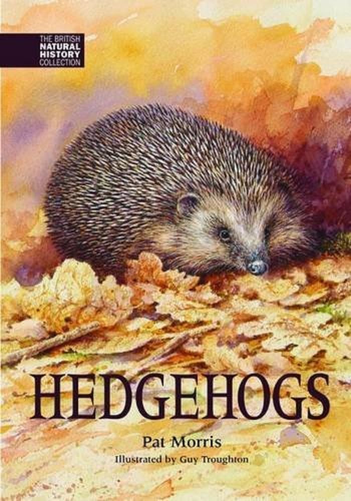 Hedgehogs by Pat Morris (Hardcover, 2015)