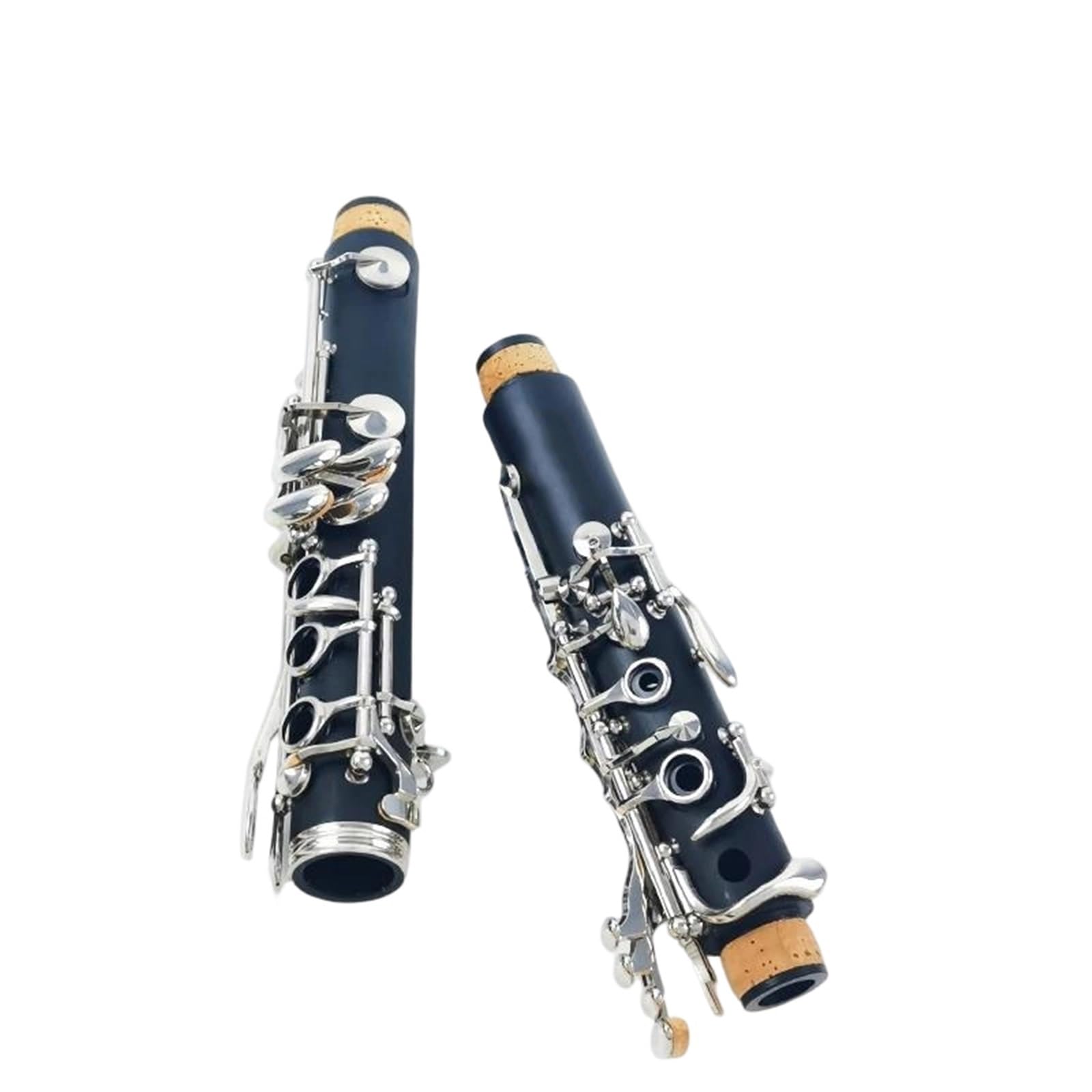 Gli Amanti Della Musica Per Principianti Di Clarinetto Professionale In Chiave C Si Esercitano A Suonare