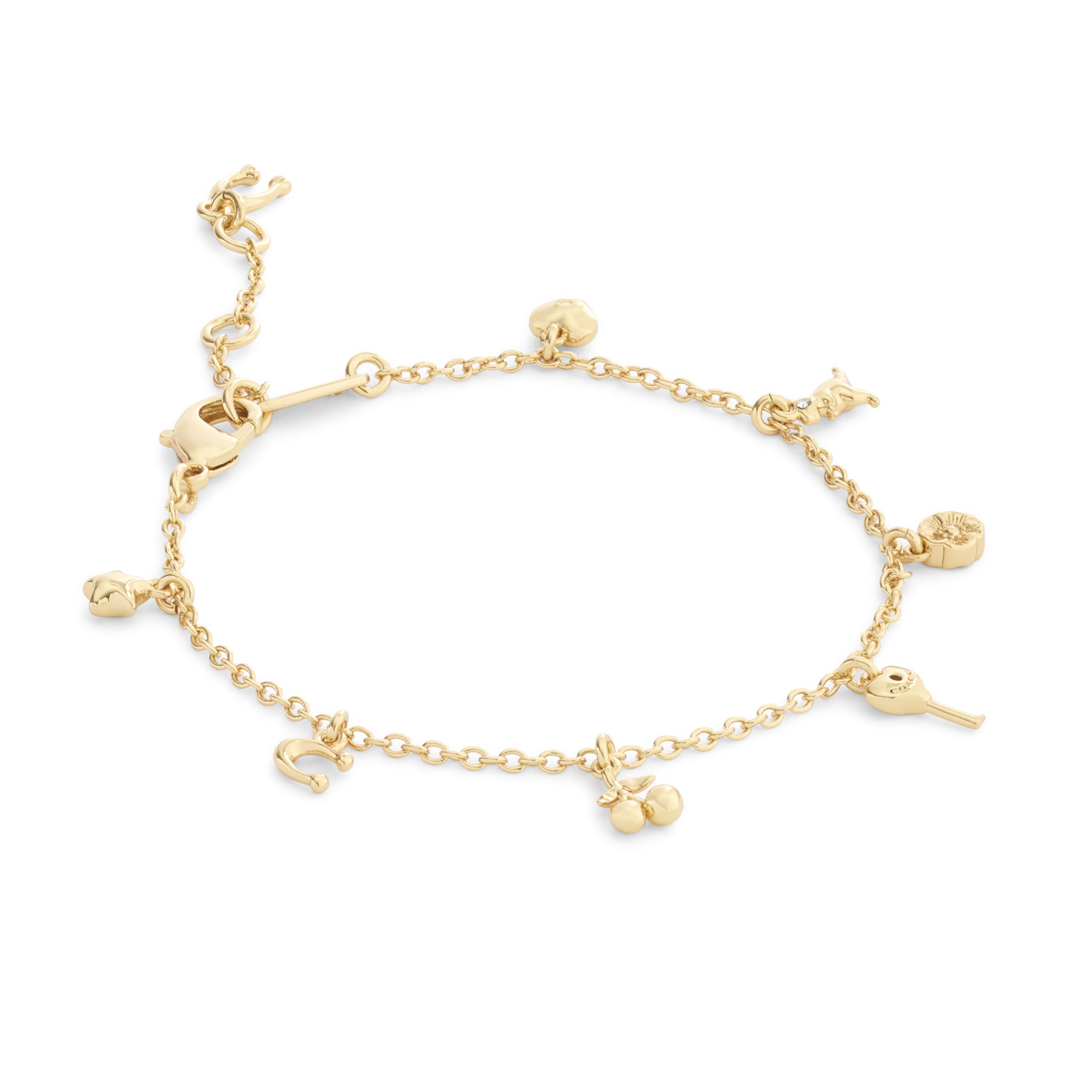 Amazon | COACH Jewelry レディース チャーミング チャーム