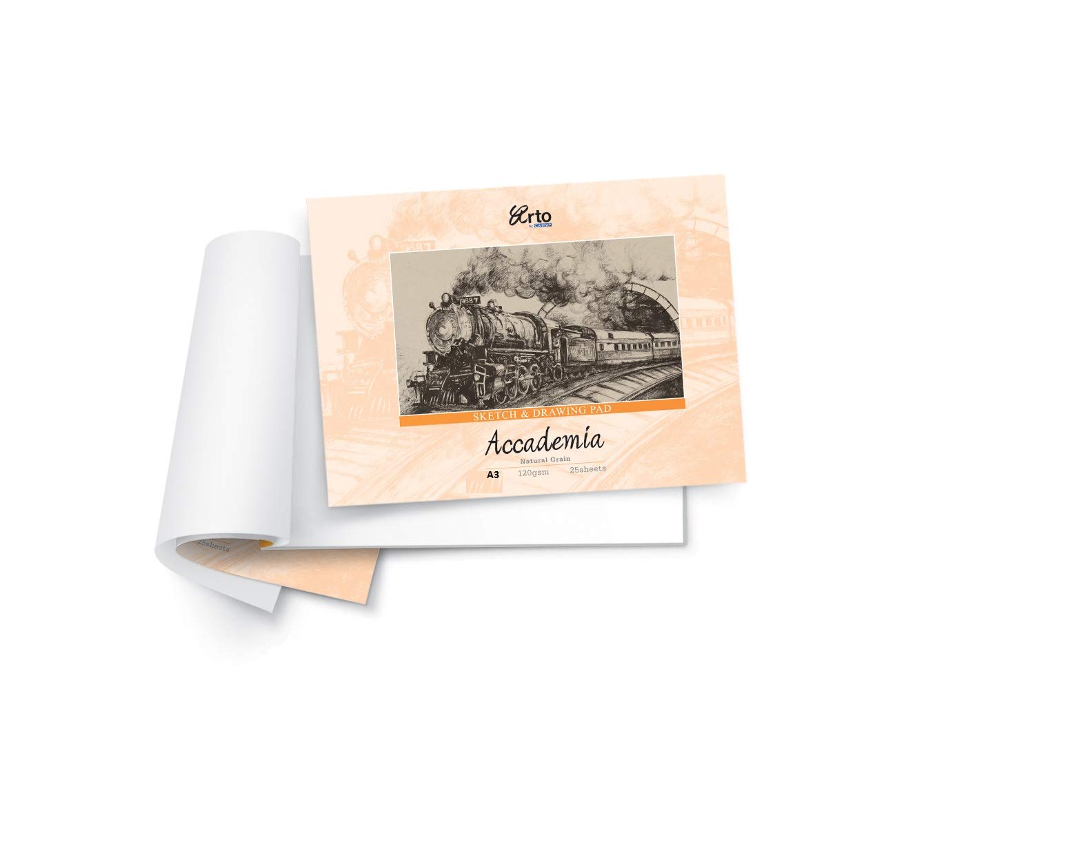 ARTO FABRIANO Sketch & Drawing Pad (Accademia)(Natural Grain) - A4 120 GSM (B07VKDBDFY) Amazon Price History, Amazon Price Tracker
