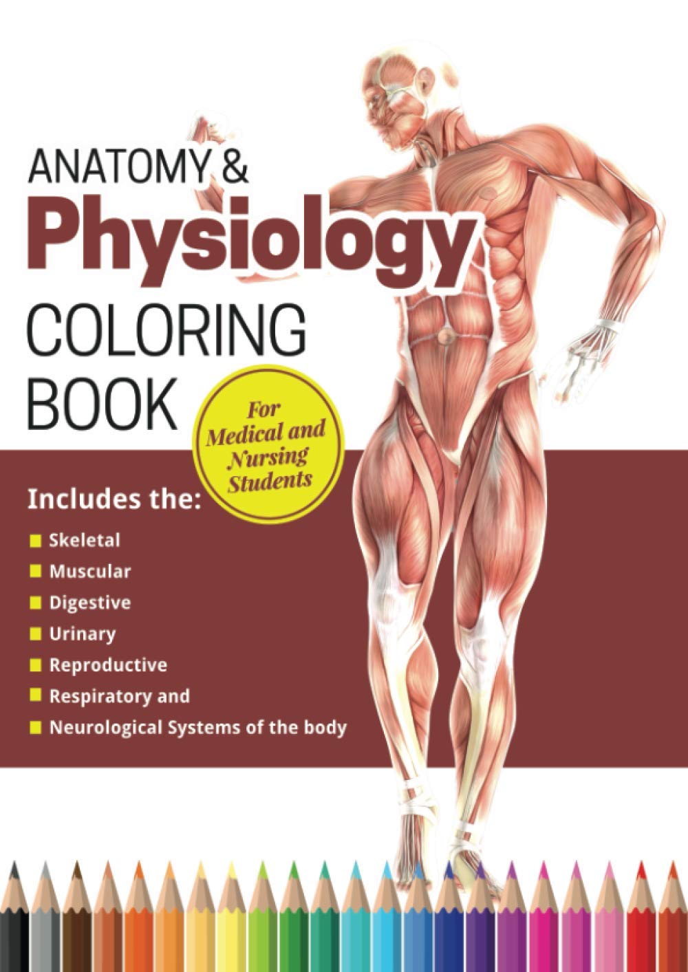 Anatomy & Physiology Coloring Book for Medical and Nursing Students: The Complete Anatomy Colouring Workbook and Study Guide for Nurses Medical Doctors, Midwives, Physiotherapist