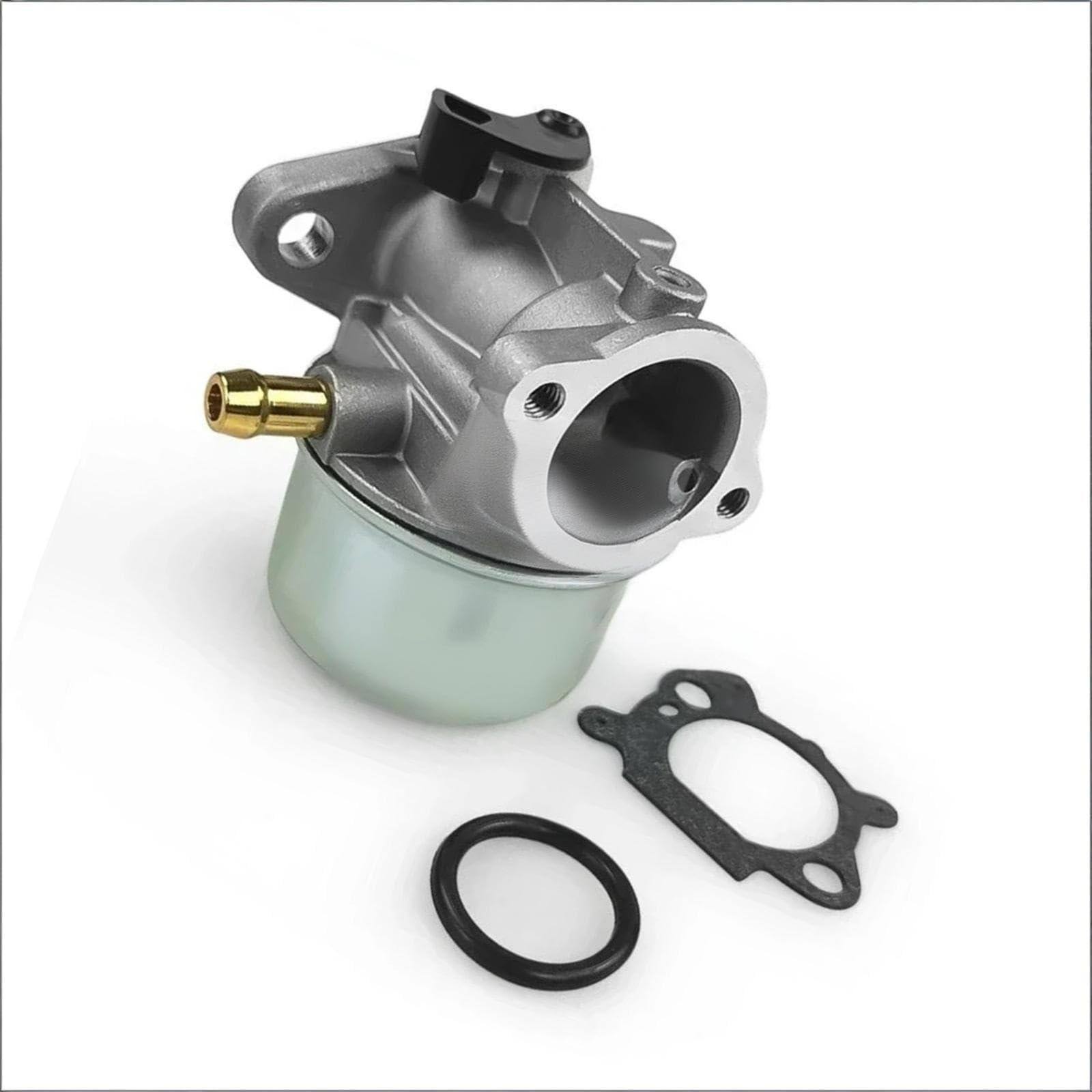 Carburateur 498170 anti-calage pour réparer les moteurs 799868 497586