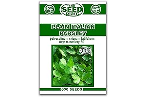 Parsley Seeds for Thriving Outdoor Gardens: 600 Non-GMO Seeds