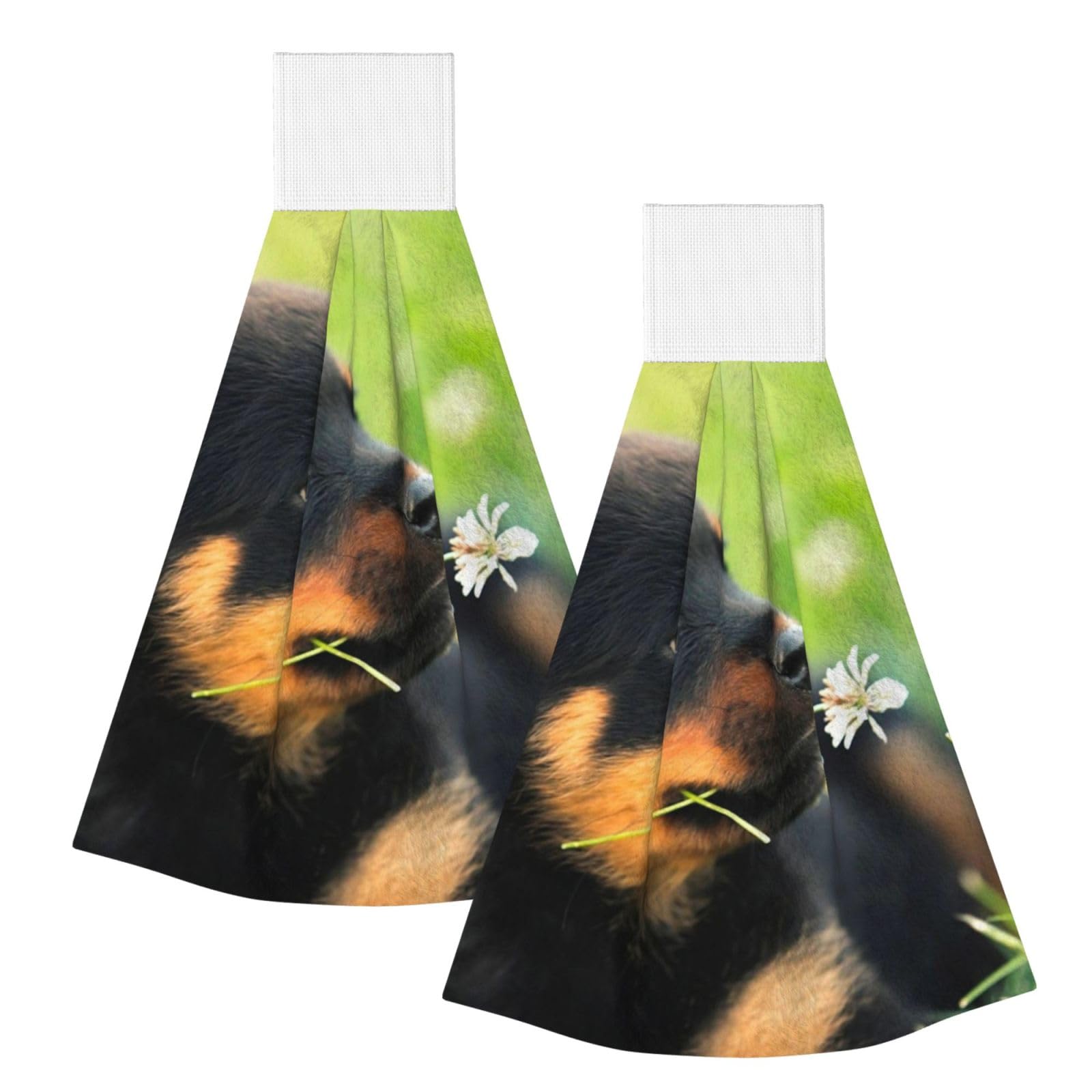 DOPKLNA Animal Animal Cute Dog Puppy Rottweiler, 2 Pcs Hanging Coral Fiber Hand Towels for Bathroom, Absorbent Kitchen Towels
