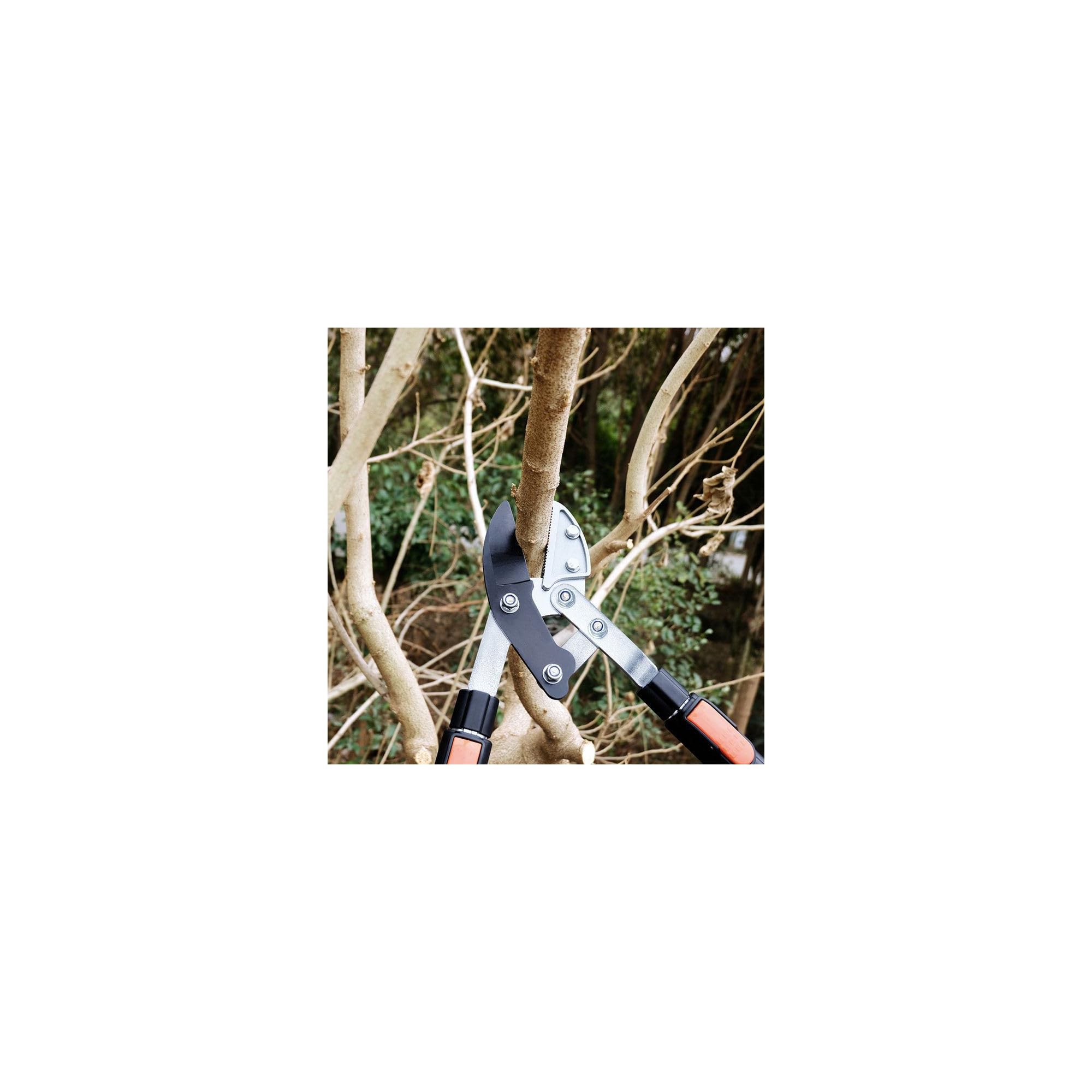 Coupe branche lame enclume - Suan - Manche télescopique - Dimensions : 87 x 34 cm