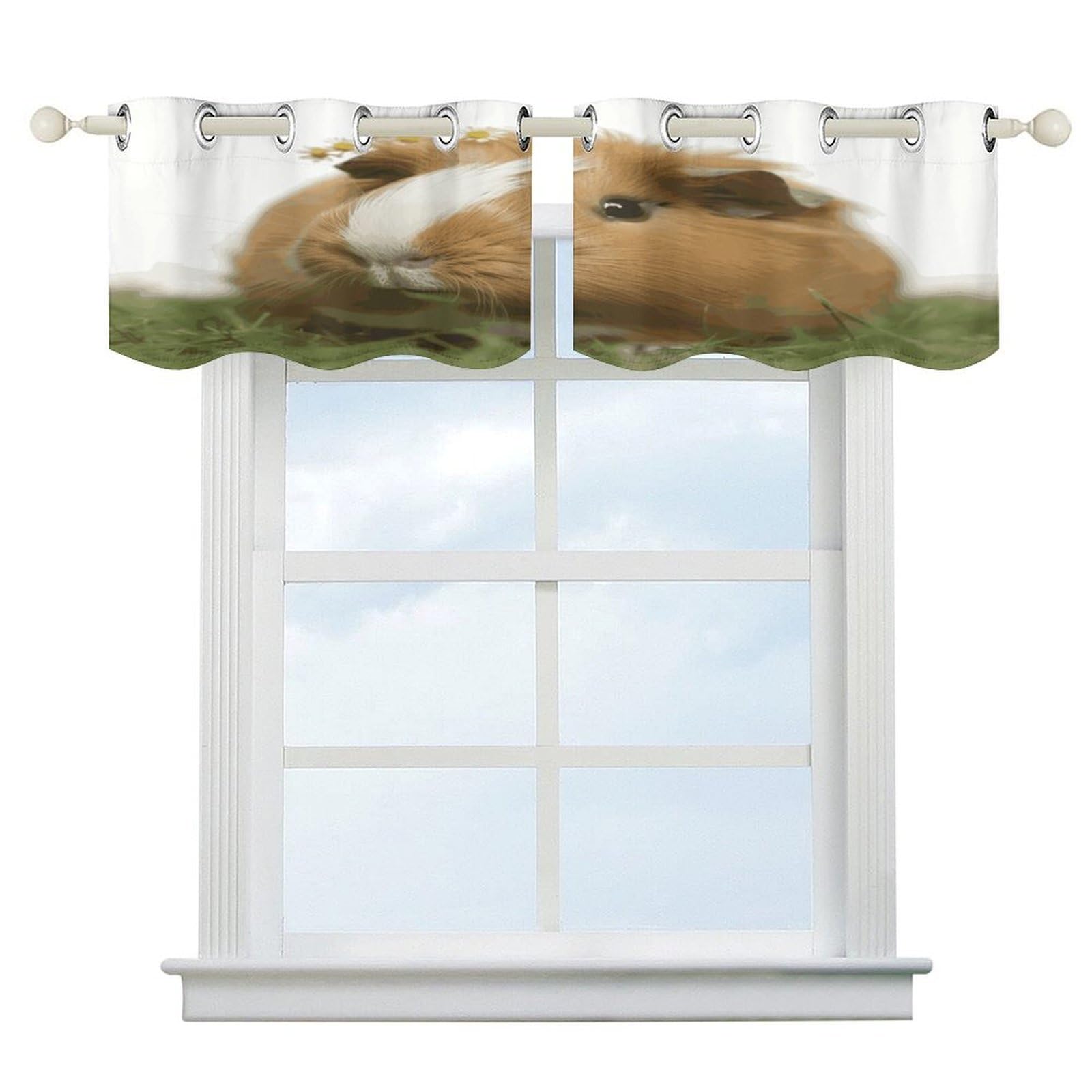 Cortinas opacas con bolsillo para cortinero, cenefa corta de arte moderno para baño